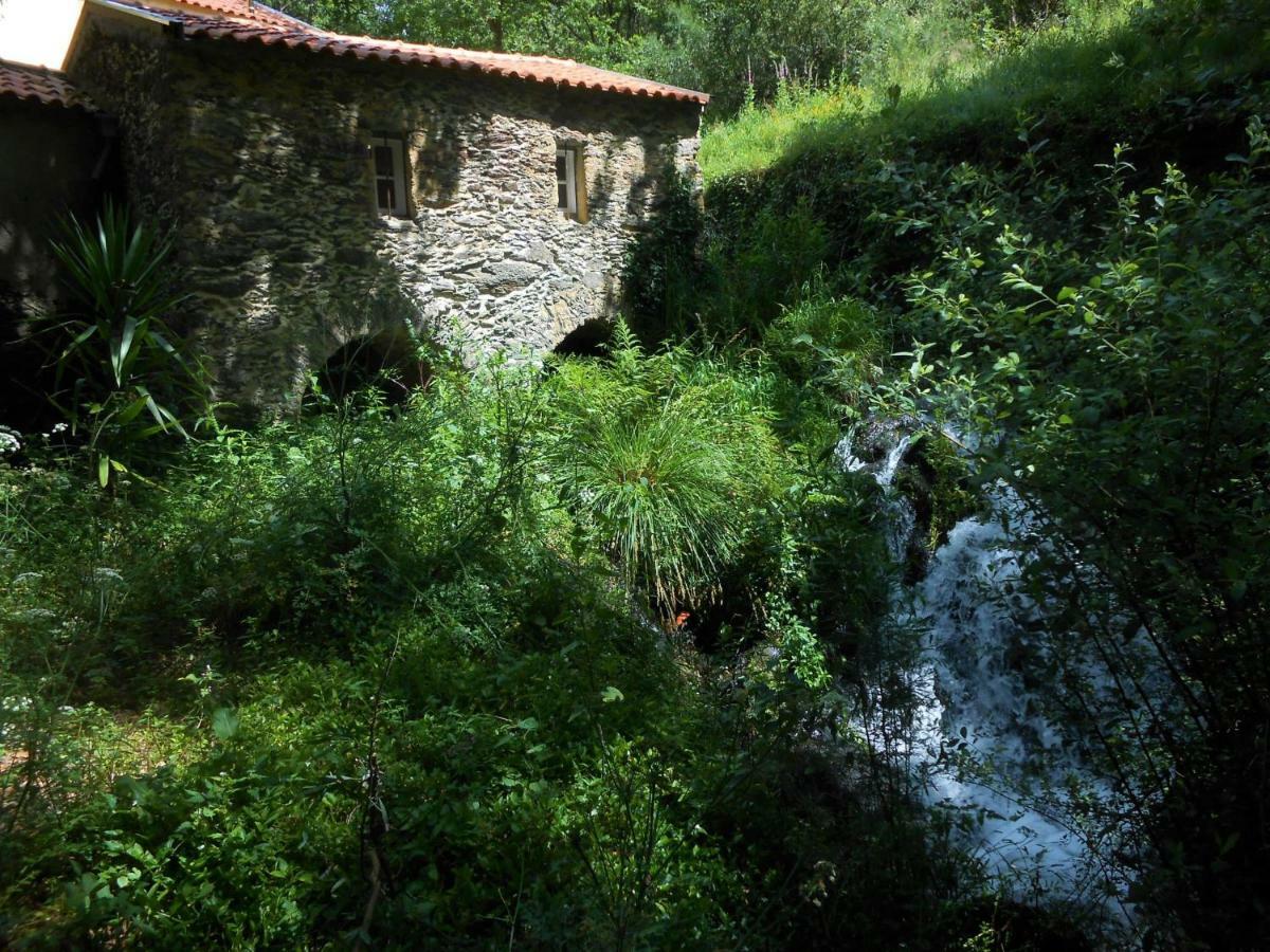 הוסטל Pinheiro da Bemposta Watermill Moinho Garcia מראה חיצוני תמונה